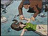 capture (11).jpg